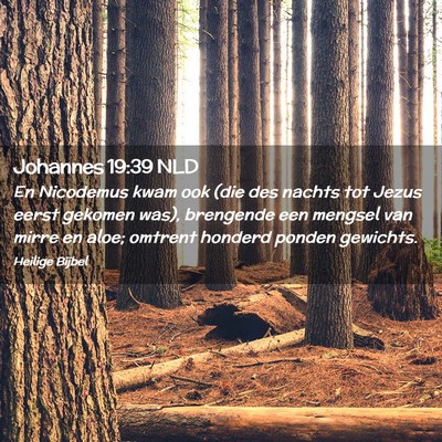 Picture 02 - Johannes 19:39 NLD - En Nicodemus kwam ook (die des nachts tot Jezus - Bible Verse Picture