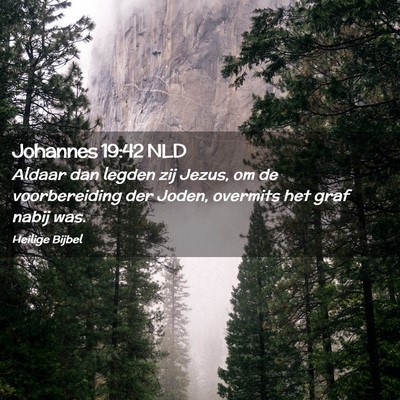 Picture 02 - Johannes 19:42 NLD - Aldaar dan legden zij Jezus, om de voorbereiding - Bible Verse Picture