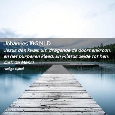 Picture 02 - Johannes 19:5 NLD - Jezus dan kwam uit, dragende de doornenkroon, en - Bible Verse Picture
