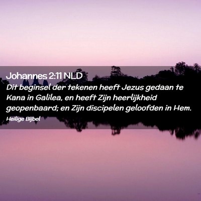 Picture 02 - Johannes 2:11 NLD - Dit beginsel der tekenen heeft Jezus gedaan te - Bible Verse Picture