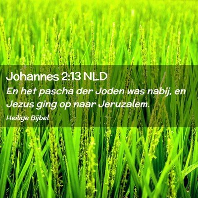 Picture 02 - Johannes 2:13 NLD - En het pascha der Joden was nabij, en Jezus ging - Bible Verse Picture