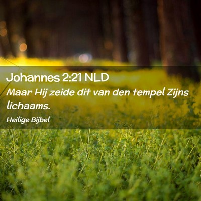 Picture 02 - Johannes 2:21 NLD - Maar Hij zeide dit van den tempel Zijns - Bible Verse Picture