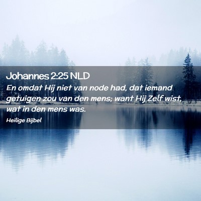 Picture 02 - Johannes 2:25 NLD - En omdat Hij niet van node had, dat iemand - Bible Verse Picture