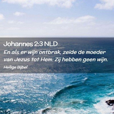 Picture 02 - Johannes 2:3 NLD - En als er wijn ontbrak, zeide de moeder van Jezus - Bible Verse Picture