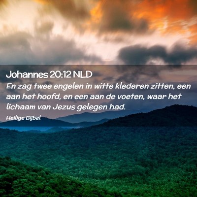 Picture 02 - Johannes 20:12 NLD - En zag twee engelen in witte klederen zitten, een - Bible Verse Picture