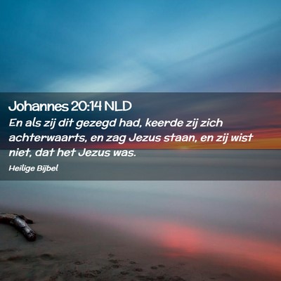 Picture 02 - Johannes 20:14 NLD - En als zij dit gezegd had, keerde zij zich - Bible Verse Picture