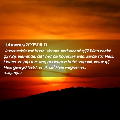 Picture 02 - Johannes 20:15 NLD - Jezus zeide tot haar: Vrouw, wat weent gij? Wien - Bible Verse Picture