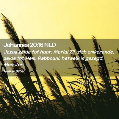 Picture 02 - Johannes 20:16 NLD - Jezus zeide tot haar: Maria! Zij, zich omkerende, - Bible Verse Picture