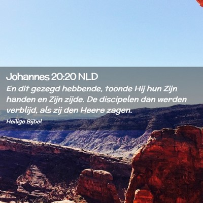 Picture 02 - Johannes 20:20 NLD - En dit gezegd hebbende, toonde Hij hun Zijn - Bible Verse Picture