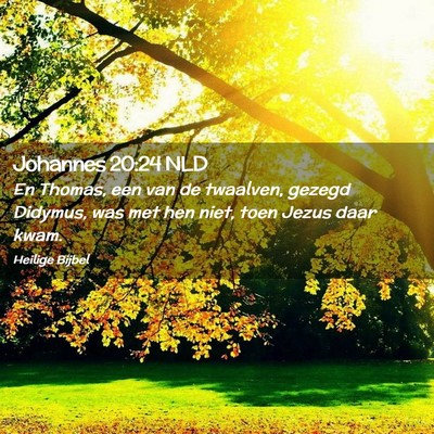 Picture 02 - Johannes 20:24 NLD - En Thomas, een van de twaalven, gezegd Didymus, - Bible Verse Picture