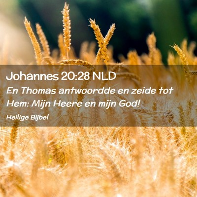 Picture 02 - Johannes 20:28 NLD - En Thomas antwoordde en zeide tot Hem: Mijn Heere - Bible Verse Picture