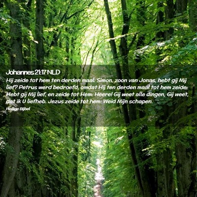 Picture 02 - Johannes 21:17 NLD - Hij zeide tot hem ten derden maal: Simon, zoon - Bible Verse Picture