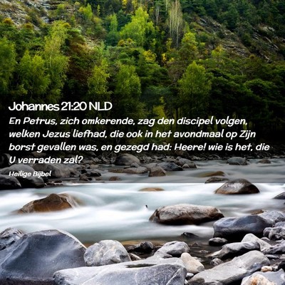 Picture 02 - Johannes 21:20 NLD - En Petrus, zich omkerende, zag den discipel - Bible Verse Picture