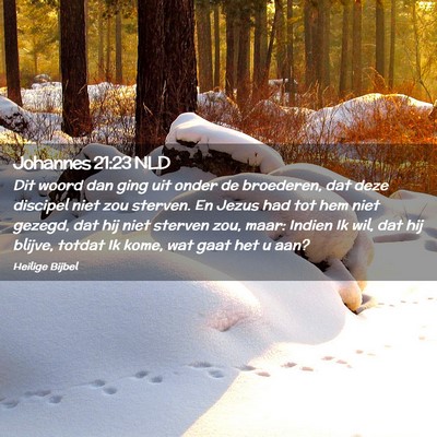 Picture 02 - Johannes 21:23 NLD - Dit woord dan ging uit onder de broederen, dat - Bible Verse Picture