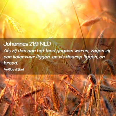 Picture 02 - Johannes 21:9 NLD - Als zij dan aan het land gegaan waren, zagen zij - Bible Verse Picture