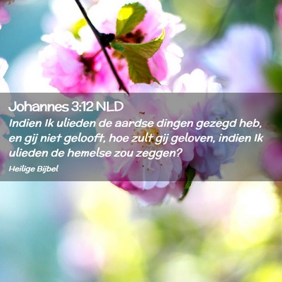 Picture 02 - Johannes 3:12 NLD - Indien Ik ulieden de aardse dingen gezegd heb, en - Bible Verse Picture