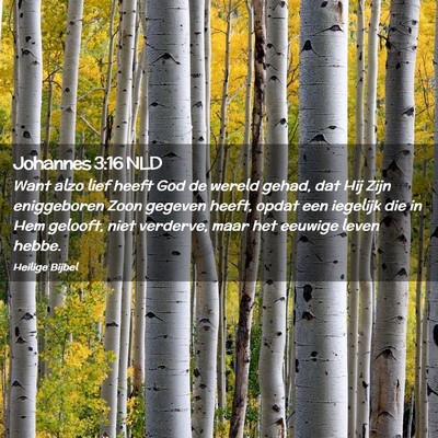 Picture 02 - Johannes 3:16 NLD - Want alzo lief heeft God de wereld gehad, dat Hij - Bible Verse Picture