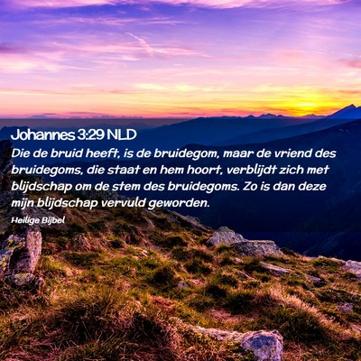 Picture 02 - Johannes 3:29 NLD - Die de bruid heeft, is de bruidegom, maar de - Bible Verse Picture
