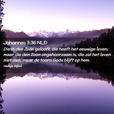 Picture 02 - Johannes 3:36 NLD - Die in den Zoon gelooft, die heeft het eeuwige - Bible Verse Picture