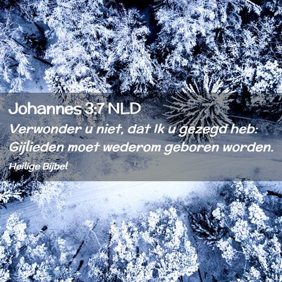 Picture 02 - Johannes 3:7 NLD - Verwonder u niet, dat Ik u gezegd heb: Gijlieden - Bible Verse Picture