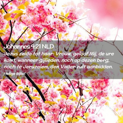 Picture 02 - Johannes 4:21 NLD - Jezus zeide tot haar: Vrouw, geloof Mij, de ure - Bible Verse Picture