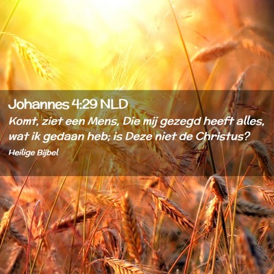 Picture 02 - Johannes 4:29 NLD - Komt, ziet een Mens, Die mij gezegd heeft alles, - Bible Verse Picture