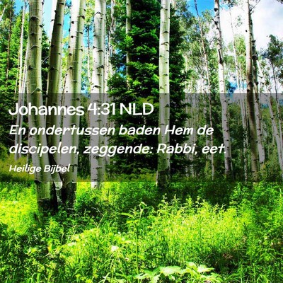 Picture 02 - Johannes 4:31 NLD - En ondertussen baden Hem de discipelen, zeggende: - Bible Verse Picture