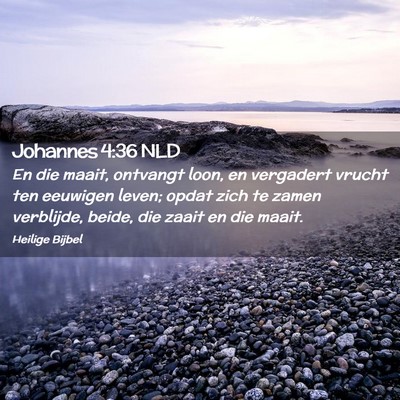 Picture 02 - Johannes 4:36 NLD - En die maait, ontvangt loon, en vergadert vrucht - Bible Verse Picture