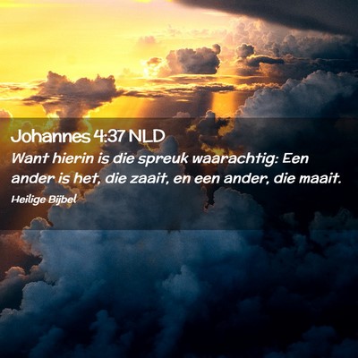 Picture 02 - Johannes 4:37 NLD - Want hierin is die spreuk waarachtig: Een ander - Bible Verse Picture