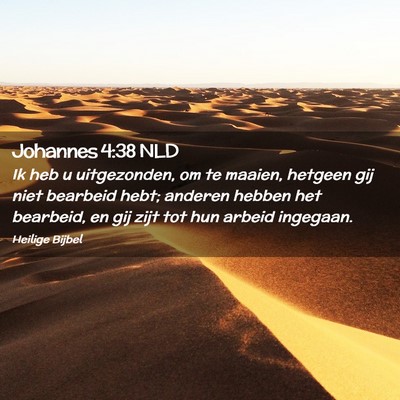 Picture 02 - Johannes 4:38 NLD - Ik heb u uitgezonden, om te maaien, hetgeen gij - Bible Verse Picture