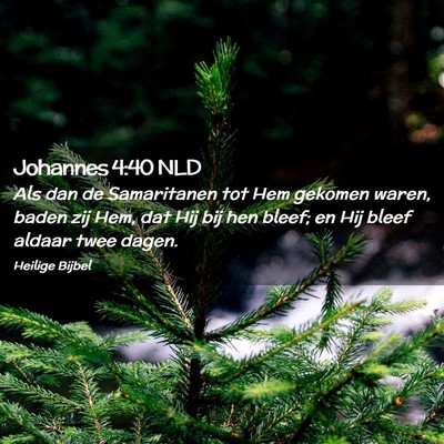 Picture 02 - Johannes 4:40 NLD - Als dan de Samaritanen tot Hem gekomen waren, - Bible Verse Picture