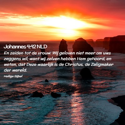Picture 02 - Johannes 4:42 NLD - En zeiden tot de vrouw: Wij geloven niet meer om - Bible Verse Picture