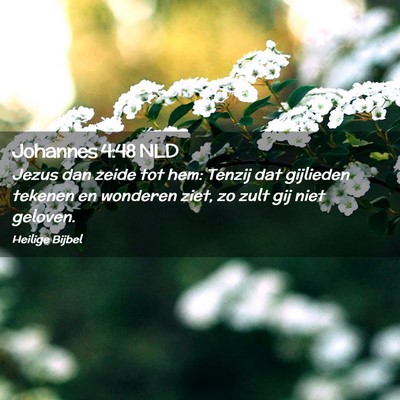 Picture 02 - Johannes 4:48 NLD - Jezus dan zeide tot hem: Tenzij dat gijlieden - Bible Verse Picture
