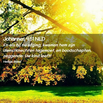 Picture 02 - Johannes 4:51 NLD - En als hij nu afging, kwamen hem zijn - Bible Verse Picture