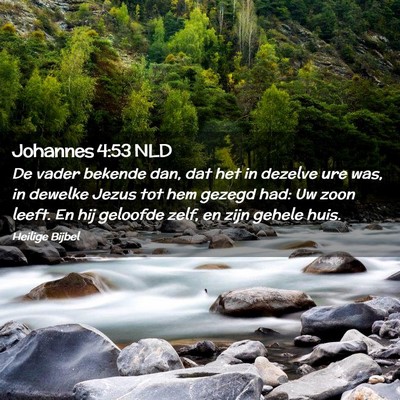 Picture 02 - Johannes 4:53 NLD - De vader bekende dan, dat het in dezelve ure was, - Bible Verse Picture