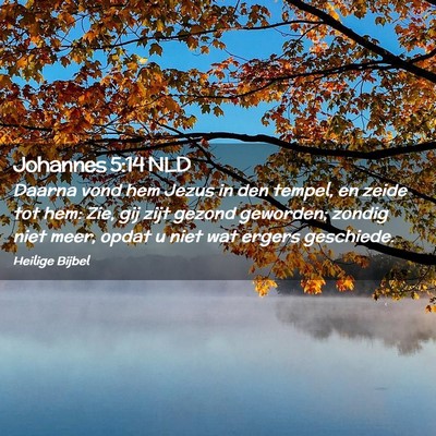 Picture 02 - Johannes 5:14 NLD - Daarna vond hem Jezus in den tempel, en zeide tot - Bible Verse Picture