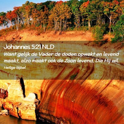 Picture 02 - Johannes 5:21 NLD - Want gelijk de Vader de doden opwekt en levend - Bible Verse Picture