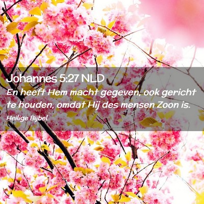 Picture 02 - Johannes 5:27 NLD - En heeft Hem macht gegeven, ook gericht te - Bible Verse Picture