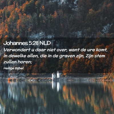 Picture 02 - Johannes 5:28 NLD - Verwondert u daar niet over, want de ure komt, in - Bible Verse Picture