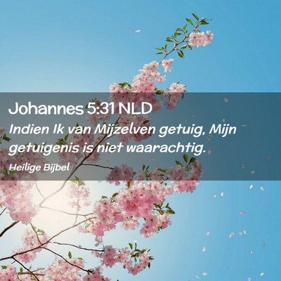 Picture 02 - Johannes 5:31 NLD - Indien Ik van Mijzelven getuig, Mijn getuigenis - Bible Verse Picture