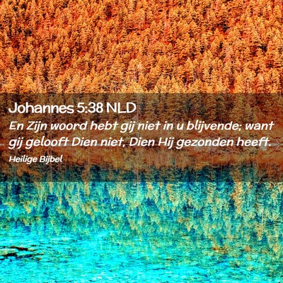 Picture 02 - Johannes 5:38 NLD - En Zijn woord hebt gij niet in u blijvende; want - Bible Verse Picture