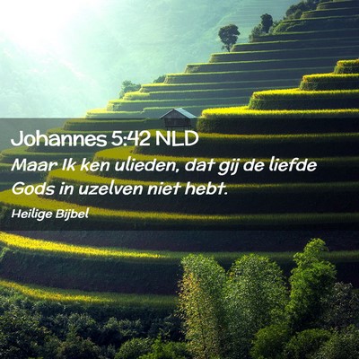 Picture 02 - Johannes 5:42 NLD - Maar Ik ken ulieden, dat gij de liefde Gods in - Bible Verse Picture