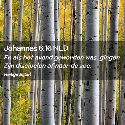 Picture 02 - Johannes 6:16 NLD - En als het avond geworden was, gingen Zijn - Bible Verse Picture