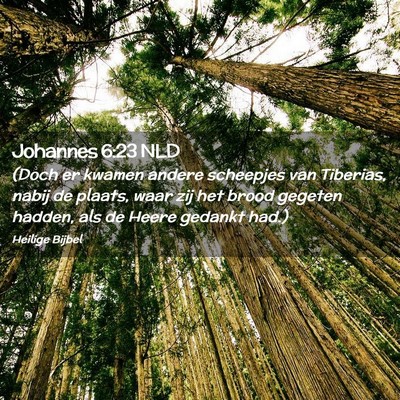 Picture 02 - Johannes 6:23 NLD - (Doch er kwamen andere scheepjes van Tiberias, - Bible Verse Picture