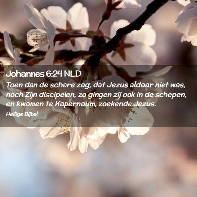 Picture 02 - Johannes 6:24 NLD - Toen dan de schare zag, dat Jezus aldaar niet - Bible Verse Picture