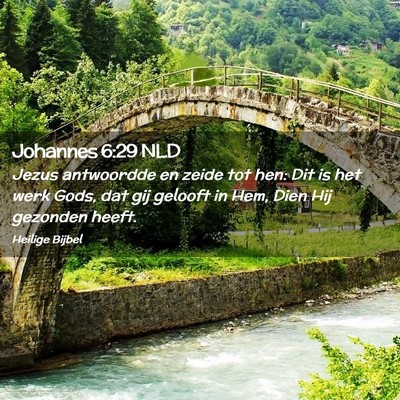 Picture 02 - Johannes 6:29 NLD - Jezus antwoordde en zeide tot hen: Dit is het - Bible Verse Picture