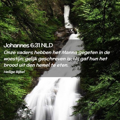 Picture 02 - Johannes 6:31 NLD - Onze vaders hebben het Manna gegeten in de - Bible Verse Picture