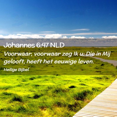 Picture 02 - Johannes 6:47 NLD - Voorwaar, voorwaar zeg Ik u: Die in Mij gelooft, - Bible Verse Picture