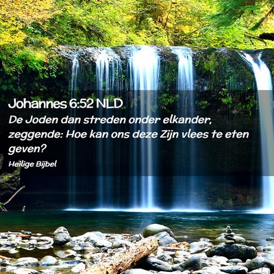 Picture 02 - Johannes 6:52 NLD - De Joden dan streden onder elkander, zeggende: - Bible Verse Picture