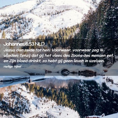 Picture 02 - Johannes 6:53 NLD - Jezus dan zeide tot hen: Voorwaar, voorwaar zeg - Bible Verse Picture